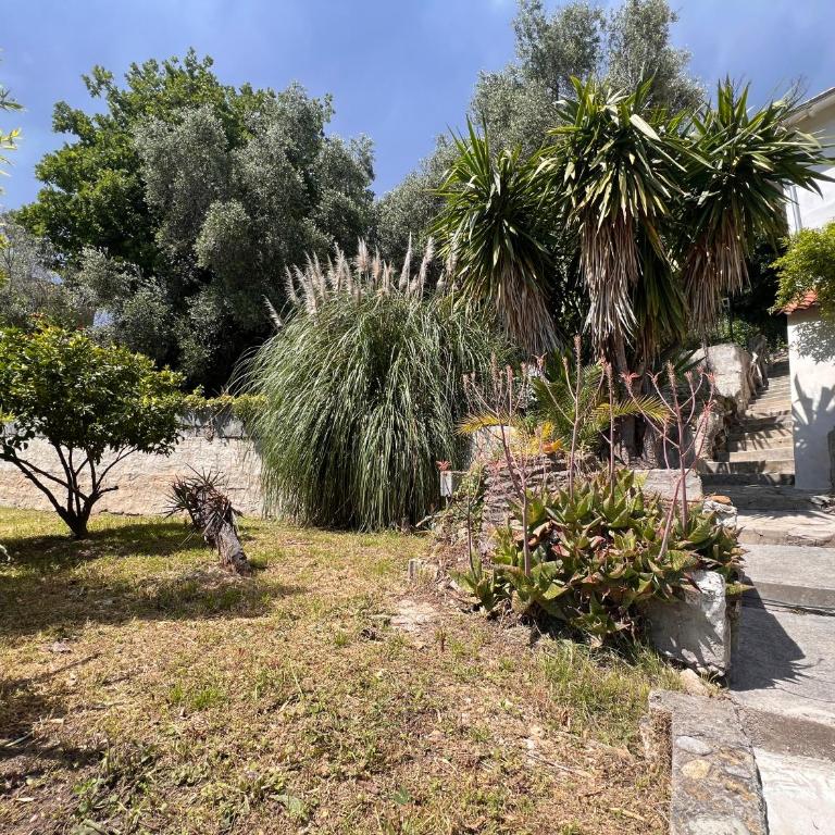 Petit paradis perché au coeur de Nice - Maison 2 Chambres - 29