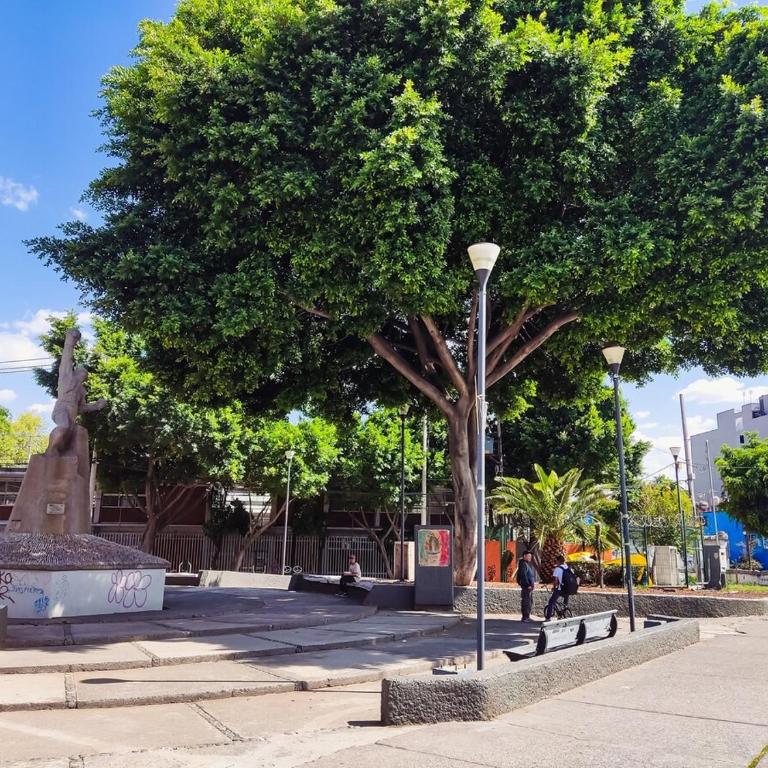 Avenida Reforma 50 very central location - Three-Bedroom Apartment - 22