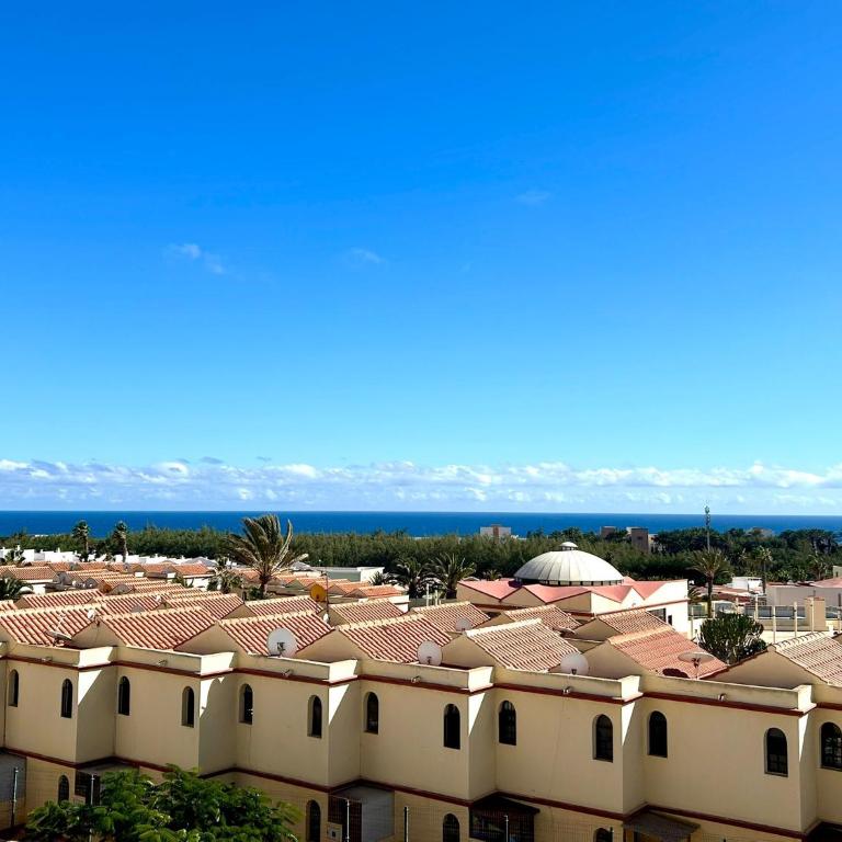 Welooveyou Parrots - Apartamento de 1 dormitorio - 13