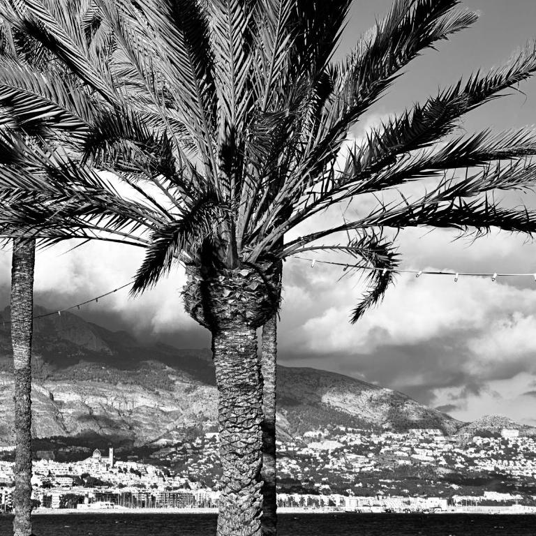 View 180 Altea - Apartamento - 67
