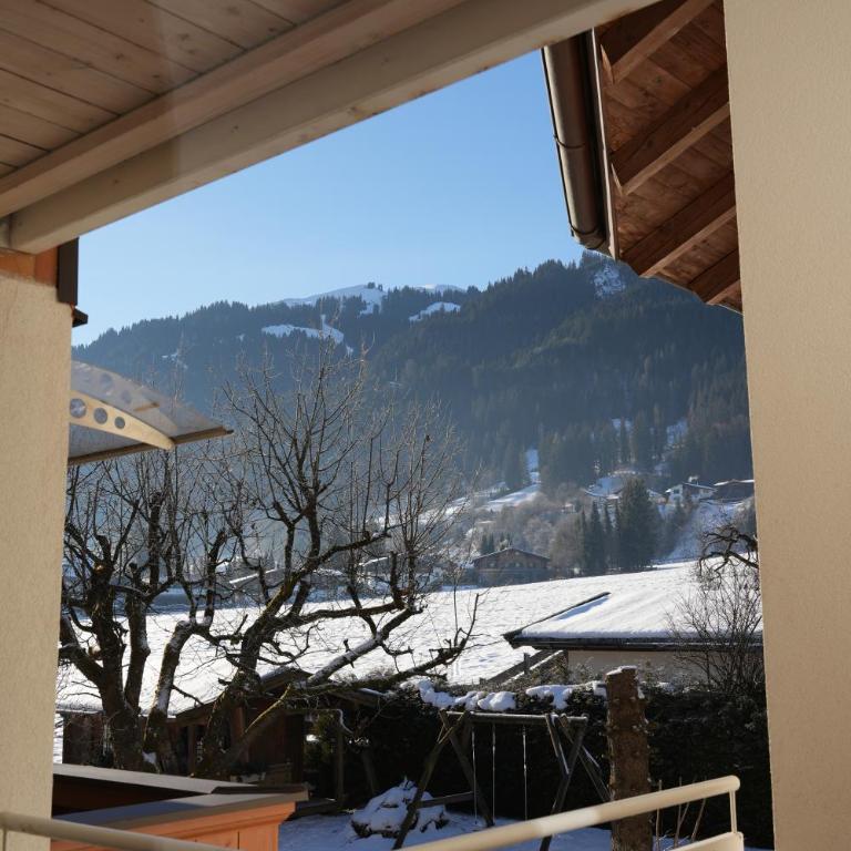 Apartmentpension Hillebrand - One-Bedroom Apartment with Balcony and Mountain View - 5