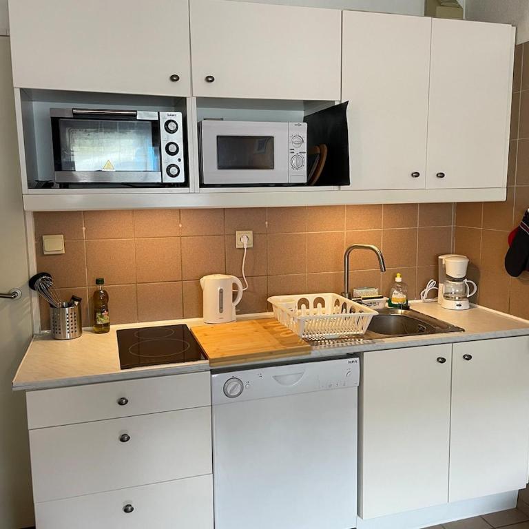 Pieds des pistes Briançon Prorel - Serre Chevalier - Appartement 1 Chambre - 1