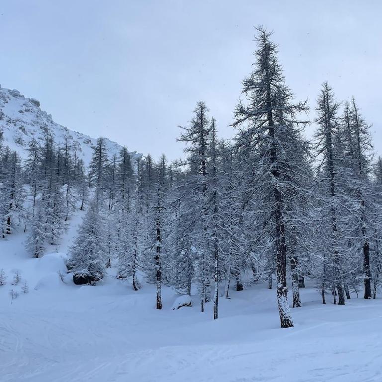 Pieds des pistes Briançon Prorel - Serre Chevalier - Appartement 1 Chambre - 32