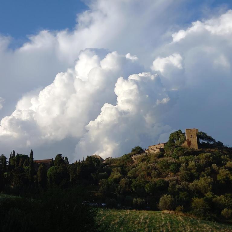 Appartamento con vista panoramica - Appartamento con 1 Camera da Letto - 13