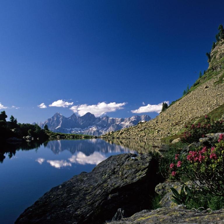 Hotel Das Hochkönig - Doppelzimmer mit Bergblick - 9