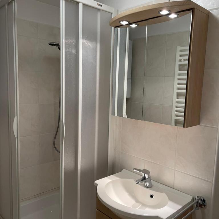 Traunkai Apartments - Zimnitz Blick - Apartment mit 1 Schlafzimmer - 4