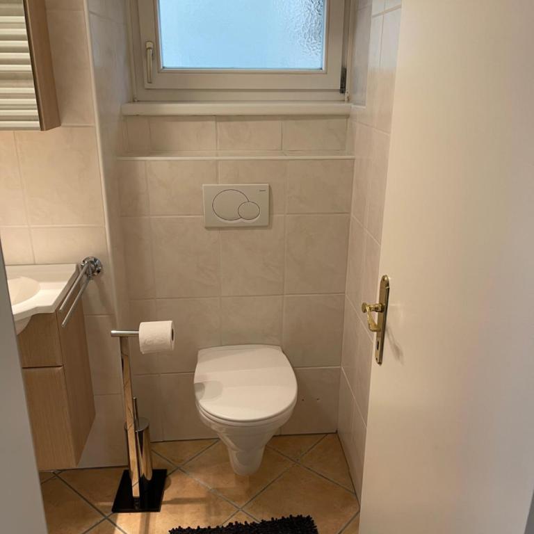 Traunkai Apartments - Zimnitz Blick - Apartment mit 1 Schlafzimmer - 3