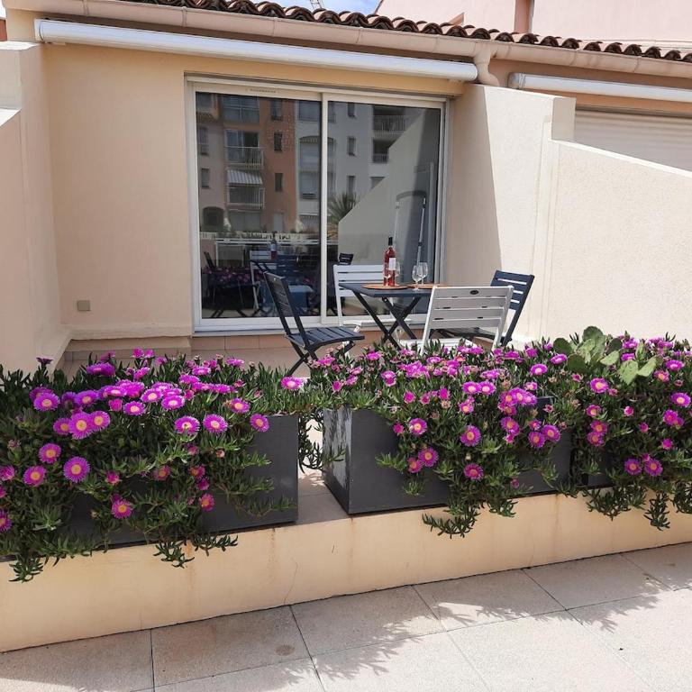 Au cœur du cap studio-terasse-piscine-mer - Apartamento de 2 dormitorios - 3