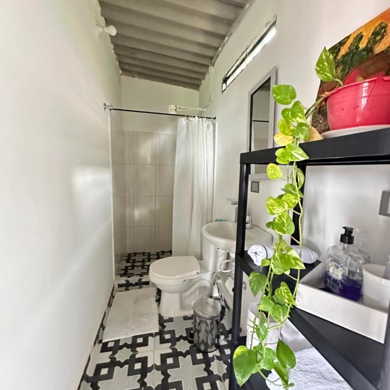 Cabaña privada cerca a termales San Vicente - Chalet de 1 dormitorio - 9
