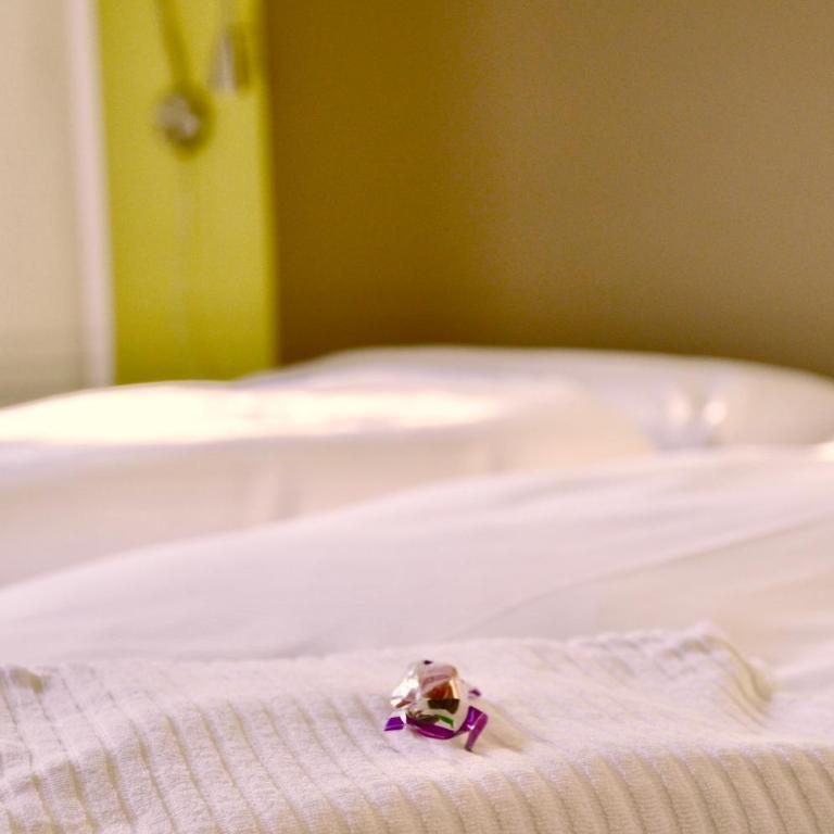 Hotel Garni Edy - Camera Classic Matrimoniale o Doppia con Letti Singoli con Balcone - 5