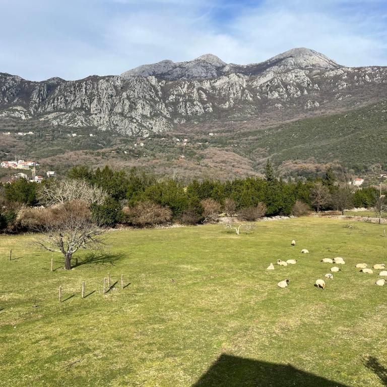 Livade 15 - Studio sa Pogledom na Planinu - 3