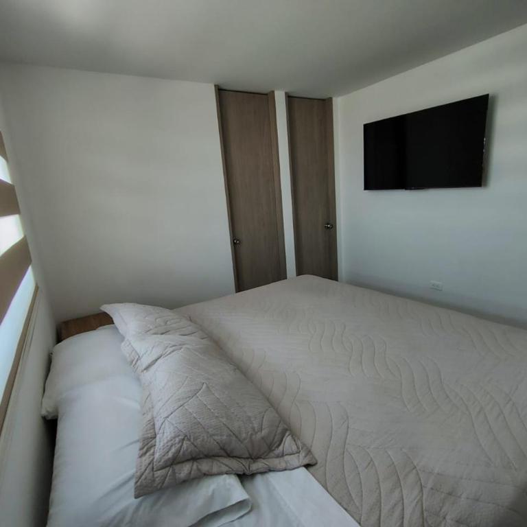 Hermoso apartamento - Apartamento Estándar de 2 dormitorios - 10
