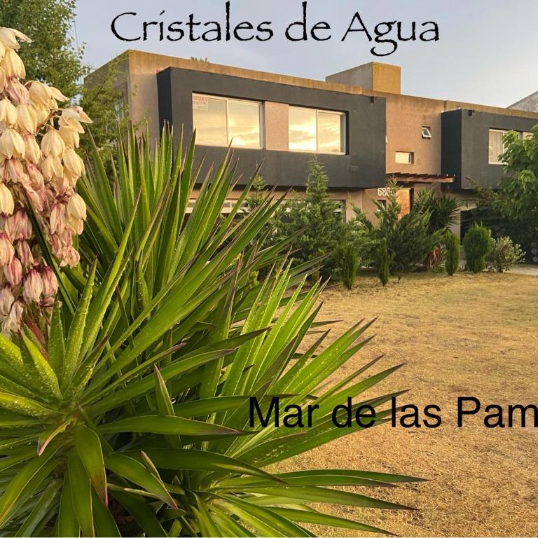 Cristales De Agua - Estudio - 1