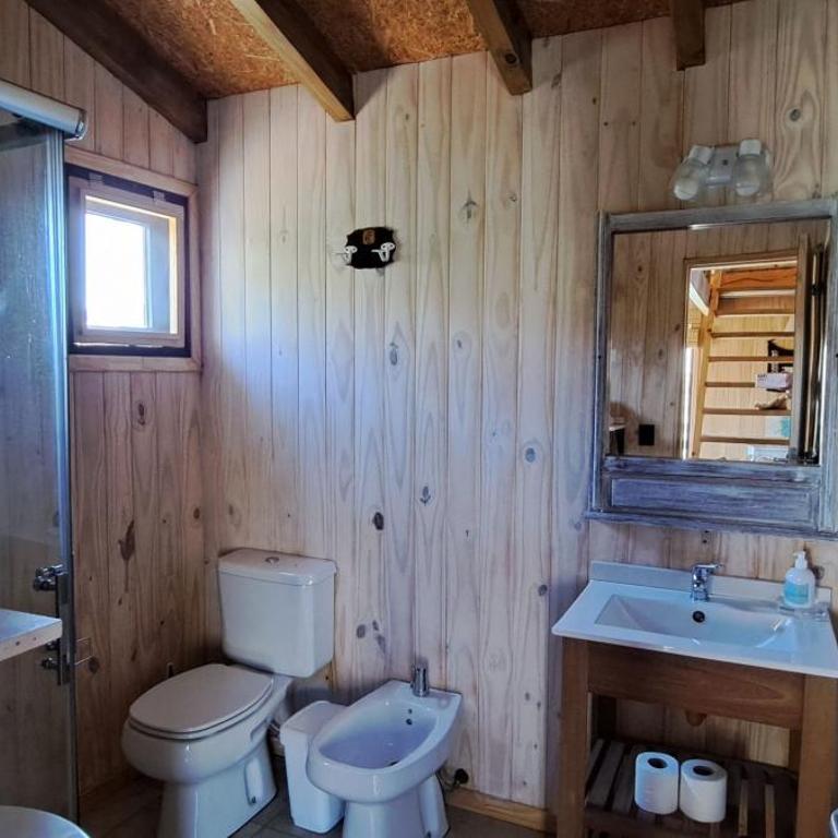 La Cabaña sobre Río Aluminé Pilo Lil - Two-Bedroom Chalet - 5