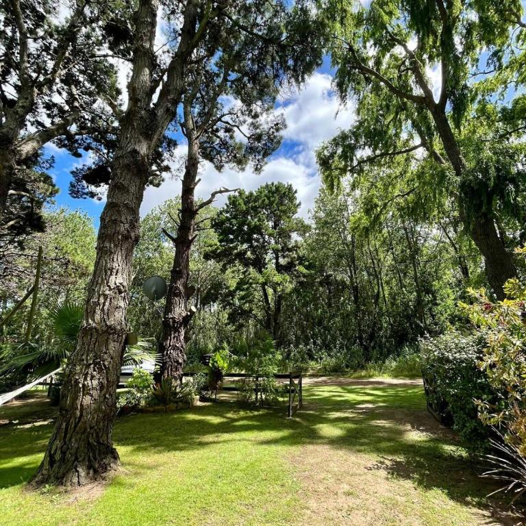 Casa en el bosque de Costa del Este - Casa de 2 dormitorios - 25