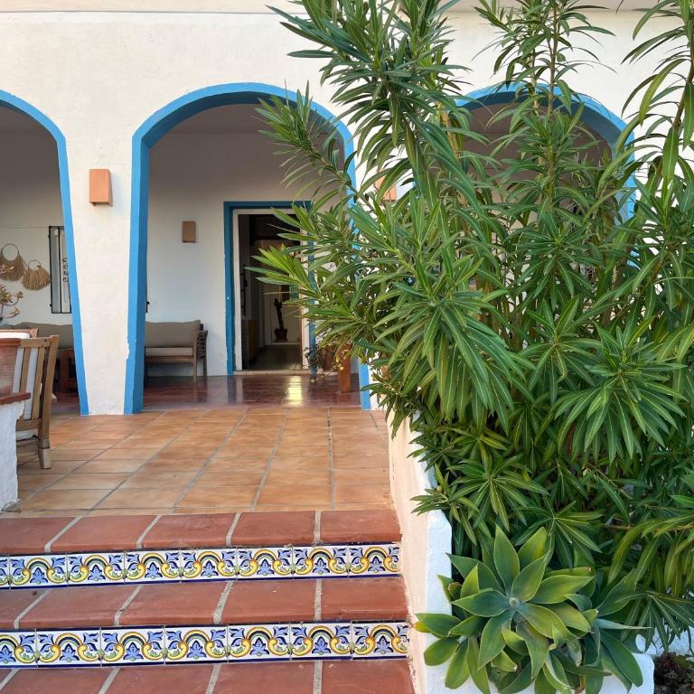 Apartamento Casa Rosa - Apartamento de 3 dormitorios - 4
