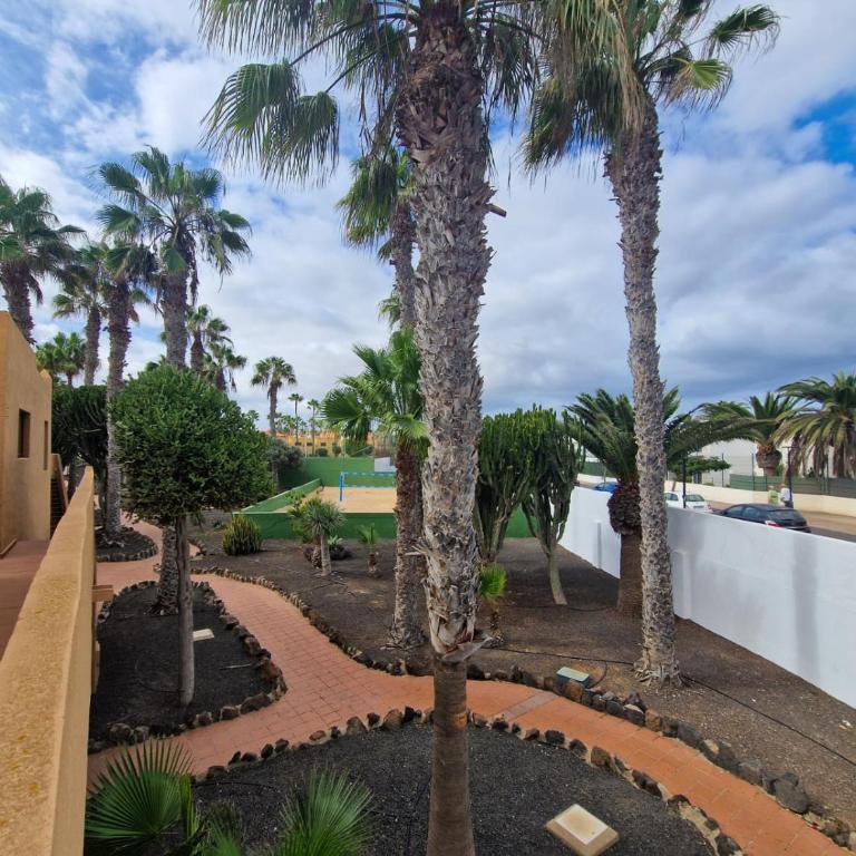 B-Rent Oasis Dunas Sunny House - One-Bedroom Standard Apartment - 2