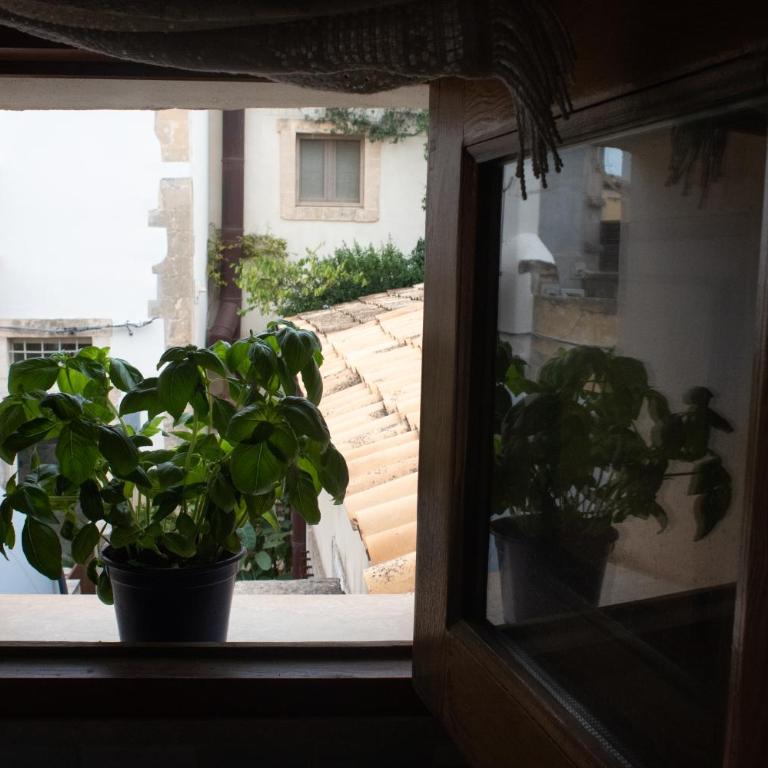 La Cortese, cuore barocco - Appartamento Standard con 2 Camere da Letto - 24