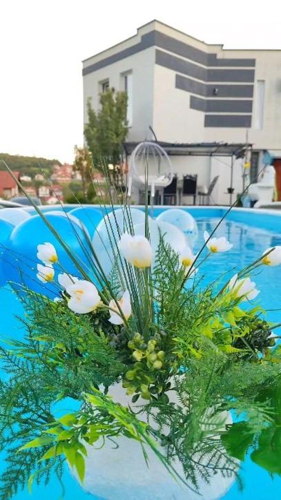 Villa Lea Tuzla - Vila - 49