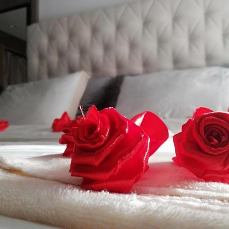 Pavlovic Luxury Spa - One-Bedroom Apartment - 21