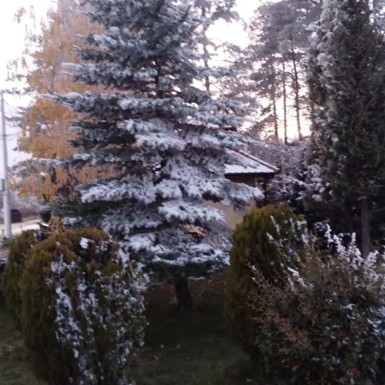Apartman Šumski San - Apartman sa 1 Spavaćom Sobom - 16