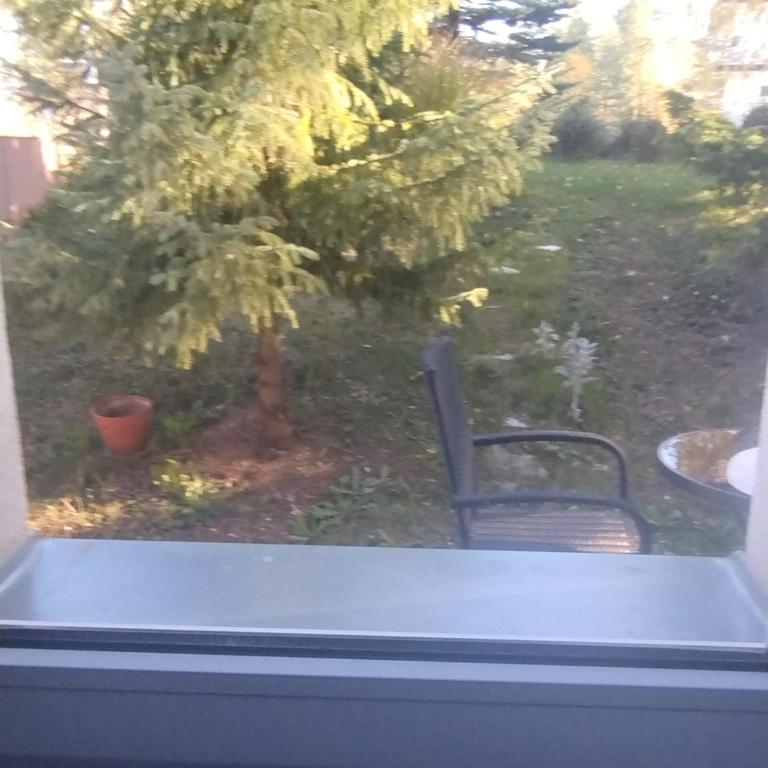 Apartman Šumski San - Apartman sa 1 Spavaćom Sobom - 20