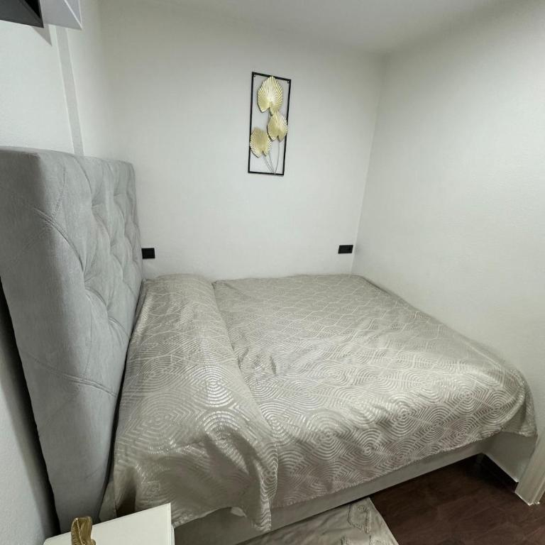 Cozy One Bedroom Apartment - One-Bedroom Apartment with Balcony - 9