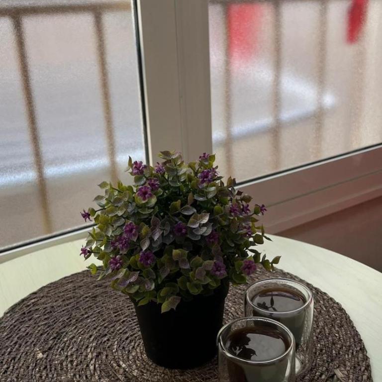 Cozy One Bedroom Apartment - One-Bedroom Apartment with Balcony - 7