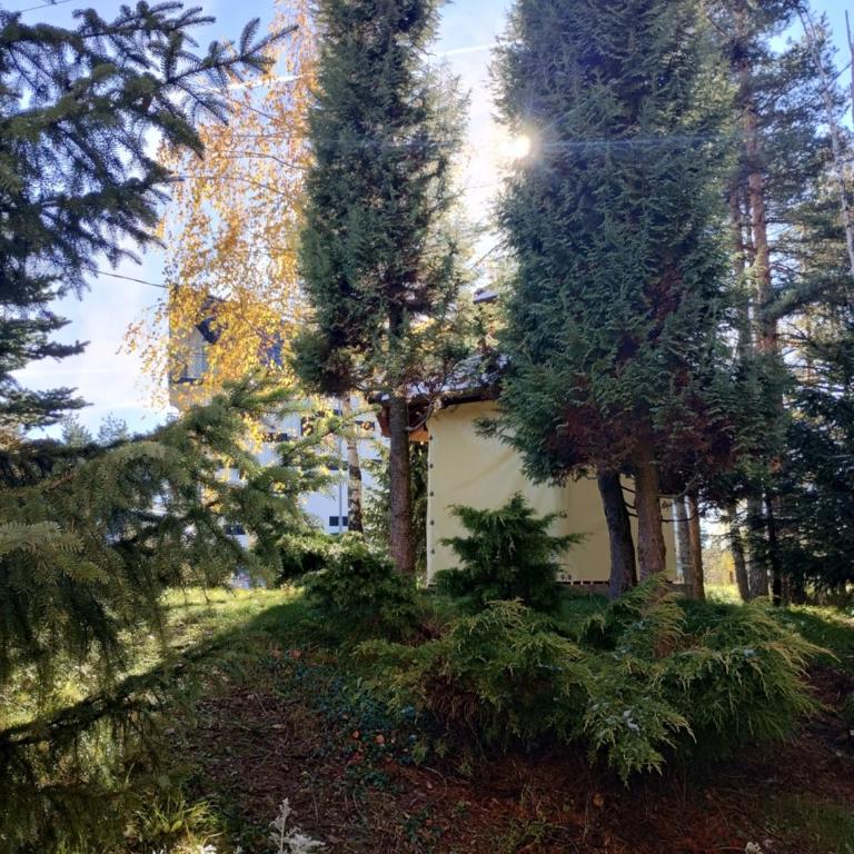 Apartman Šumski San - Apartman sa 1 Spavaćom Sobom - 14