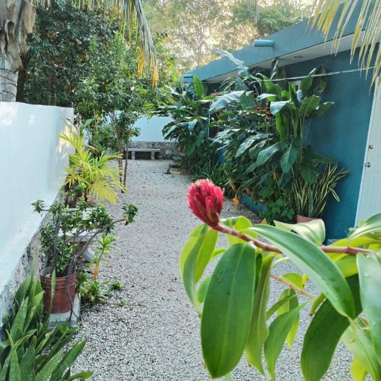 Casa Pía Deluxe - Apartamento de 1 dormitorio - 20