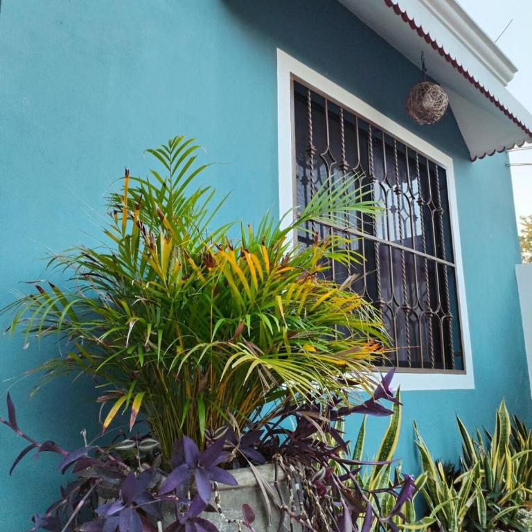 Casa Pía Deluxe - Apartamento de 1 dormitorio - 21