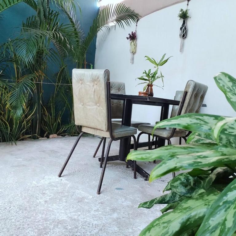Casa Pía Deluxe - Apartamento de 1 dormitorio - 35