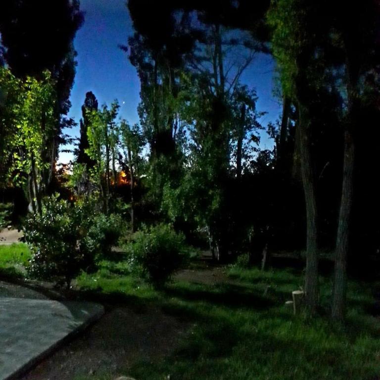 Cabañas EL BOSQUE - One-Bedroom Apartment - 13