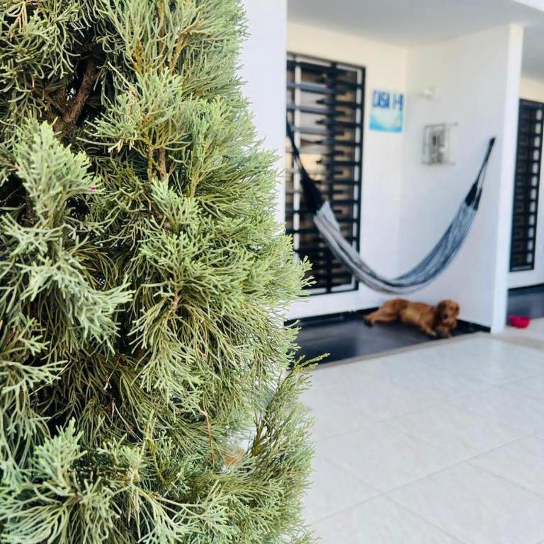 Hermosa casa en Flandes - Two-Bedroom House - 2