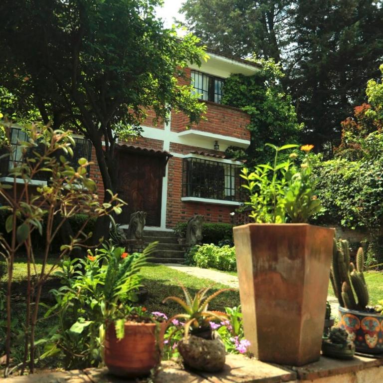 Cabin in the forest of CDMX - Casa de 2 dormitorios - 20