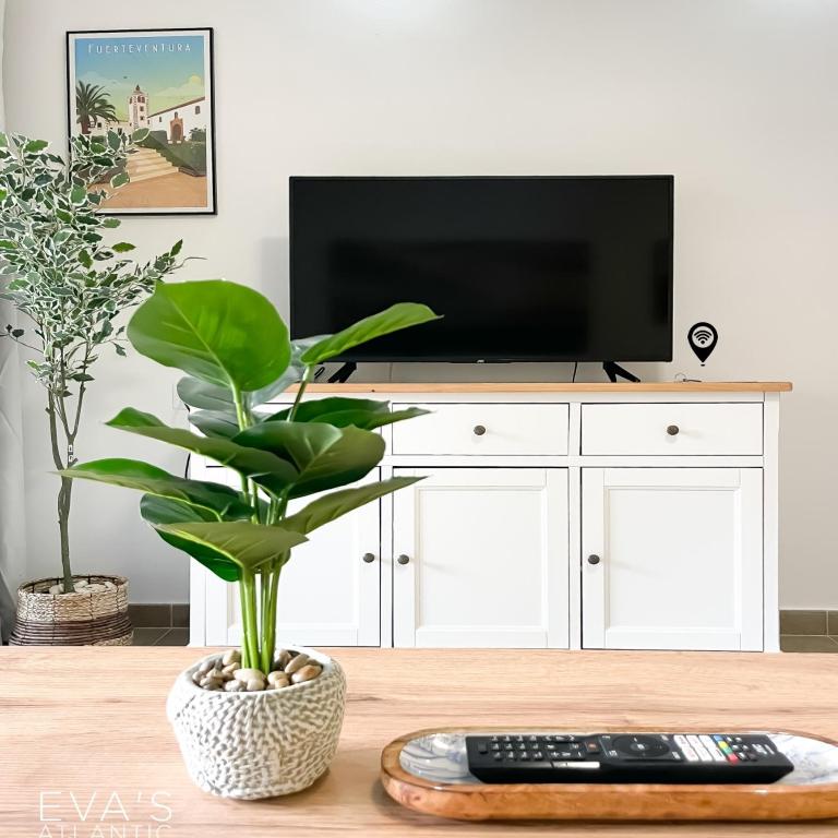 Eva's Atlantic Garden Corralejo by B-Rent - One-Bedroom Apartment - 5
