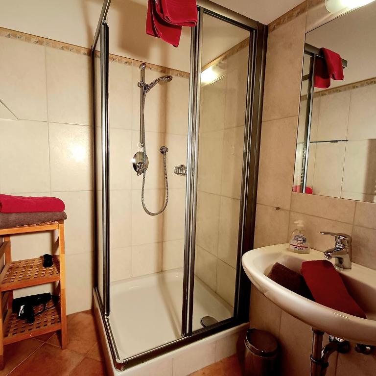 Biobauernhof Appartement Oberreith - Apartment mit 1 Schlafzimmer und Garten - 8
