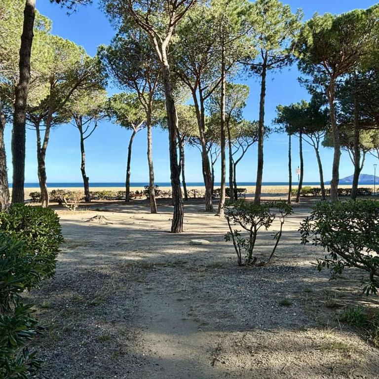 Appartement 2 pièces 4 couchages - AR680-0E4 - Appartamento - 15