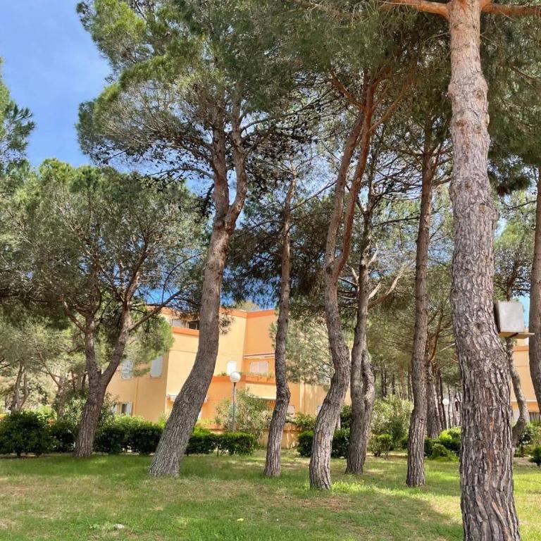 Studio à 200m de la plage 2 couchages AR450-0404 - Appartamento - 10