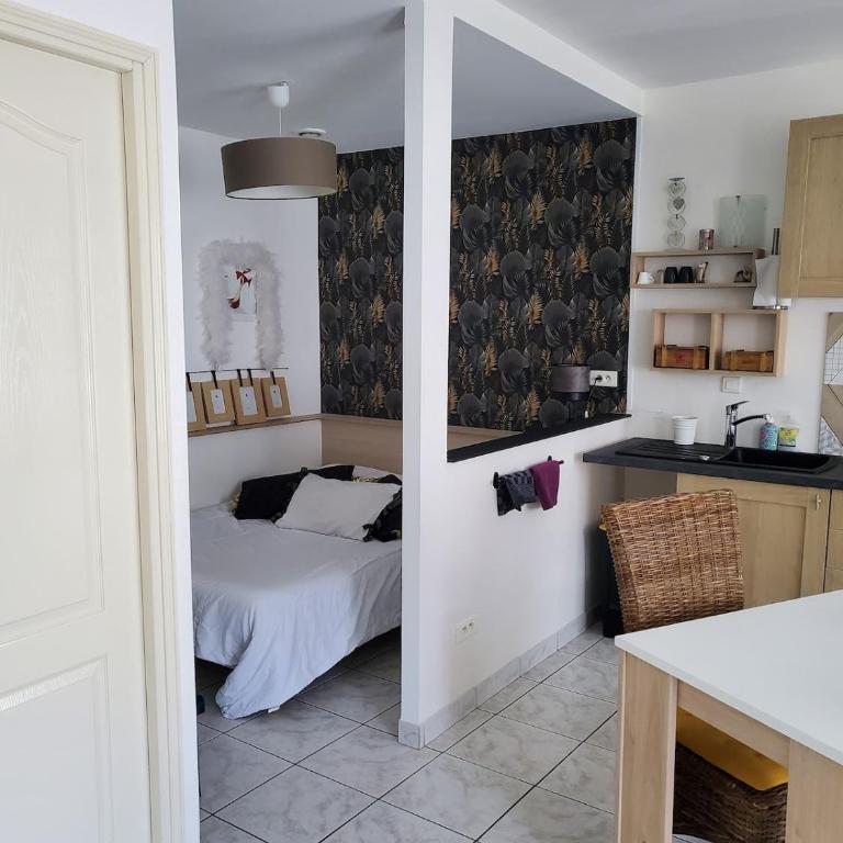 Large quiet studio, - Appartement 1 Chambre - 3