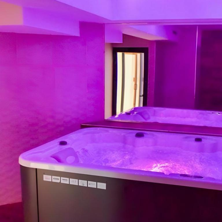 Zlatiborska Oaza Wellness i Spa - Apartman sa 1 Spavaćom Sobom - 33