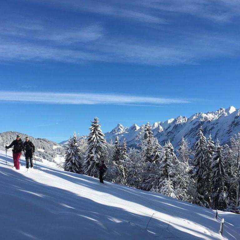 La villa du Danay - chalet familial 9 places - Chalet con 3 Camere da Letto - 7