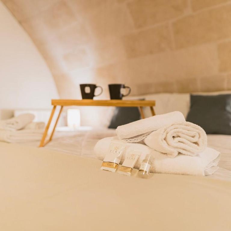 Sassi Suite - Elegant Historic Home - One-Bedroom Apartment - 30