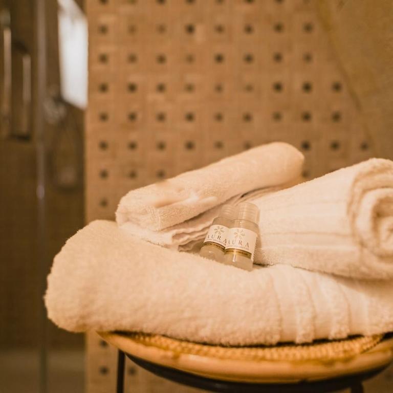 Sassi Suite - Elegant Historic Home - One-Bedroom Apartment - 31