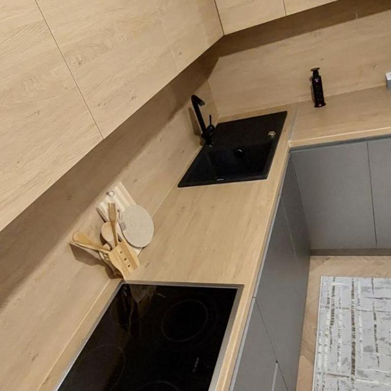 Apartman Novaković - Apartman sa 1 Spavaćom Sobom - 12