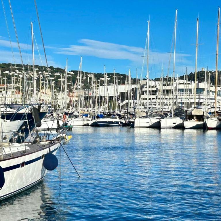 TOP renovated 1 bedroom near Palais 2P1 by RIVAEVENT - Apartamento de 1 dormitorio - 21