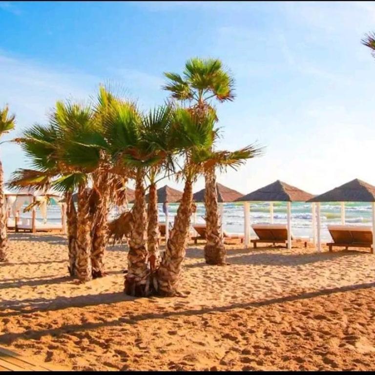 Inmaculada Centro Playa - Apartamento de 1 dormitorio - 50
