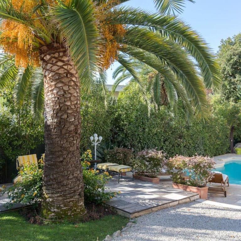 B024 - Magnifique Villa - Piscine - Cannes centre - Appartement - 3