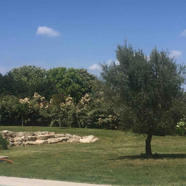 Les escapades Provençales - Apartment mit 1 Schlafzimmer und Poolblick - 12