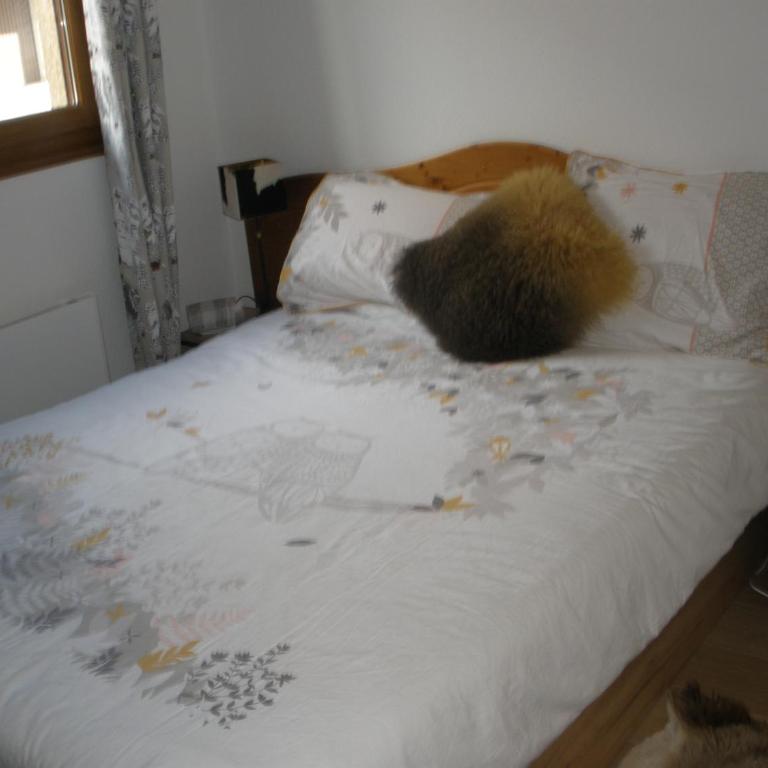 Appartement 2 chambres vue lac - Apartamento de 2 dormitorios - 3